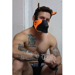 Breedwell Masque Poundtown Pup Breedwell Noir-Orange